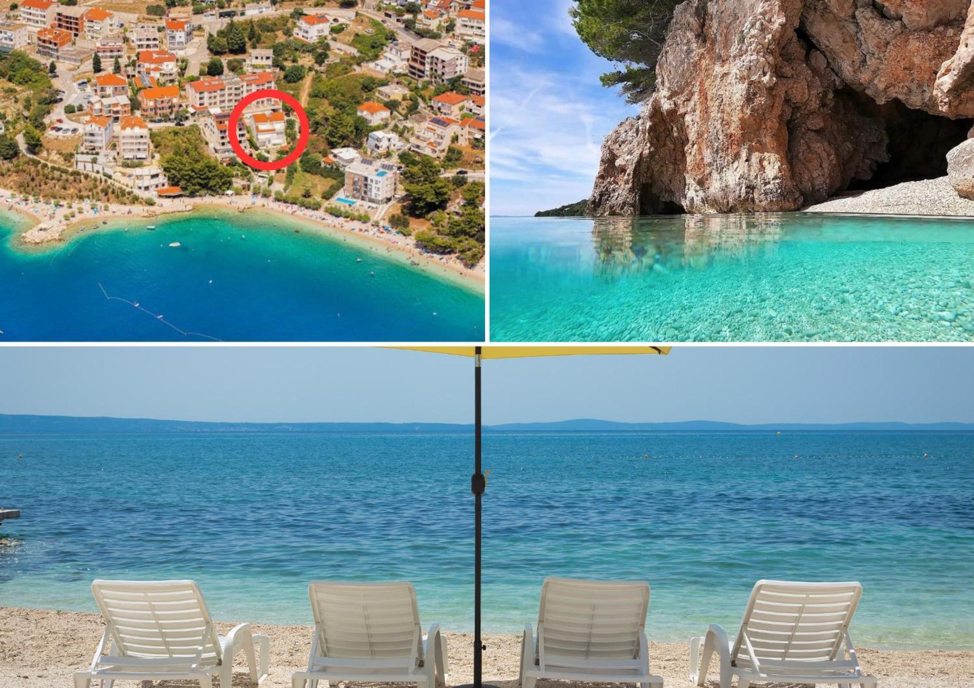 Sea Star Omis